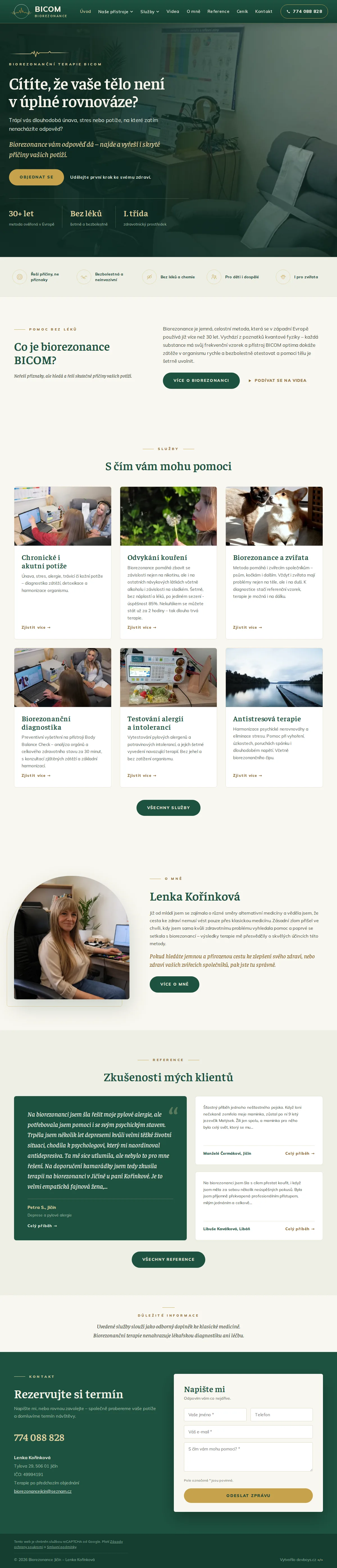 Náhled webu: Biorezonance Jičín